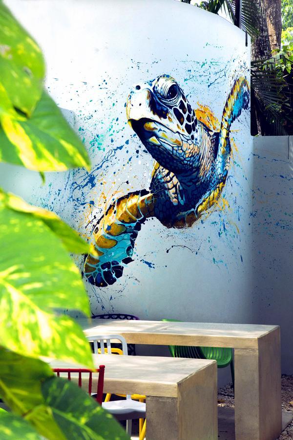 Hostel Frente Al Mar Tropico 20º 科苏梅尔 外观 照片