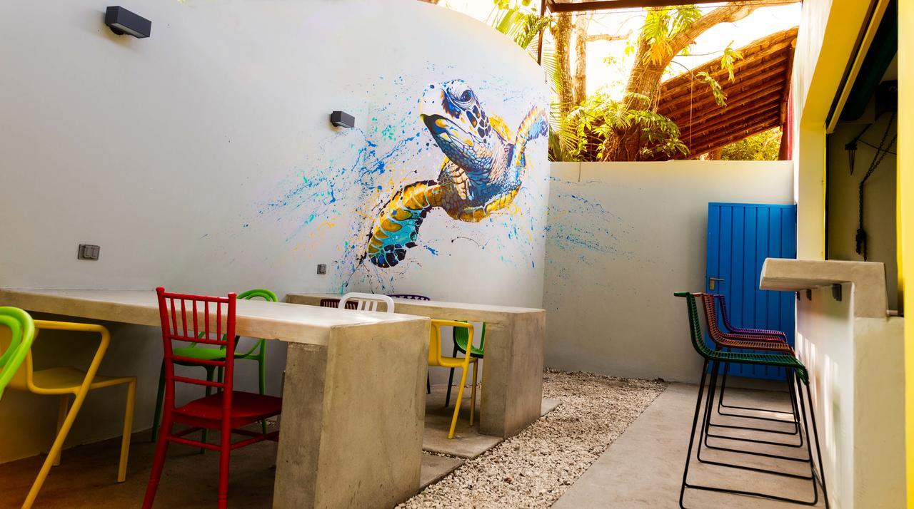 Hostel Frente Al Mar Tropico 20º 科苏梅尔 外观 照片