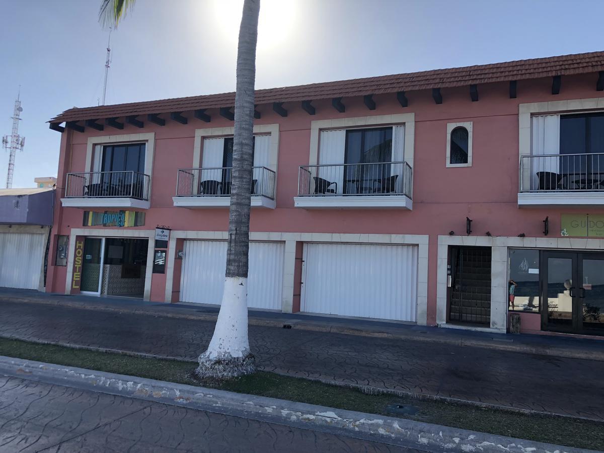 Hostel Frente Al Mar Tropico 20º 科苏梅尔 外观 照片