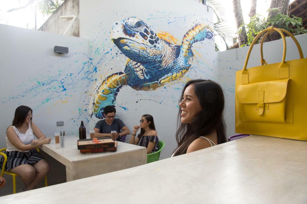 Hostel Frente Al Mar Tropico 20º 科苏梅尔 外观 照片