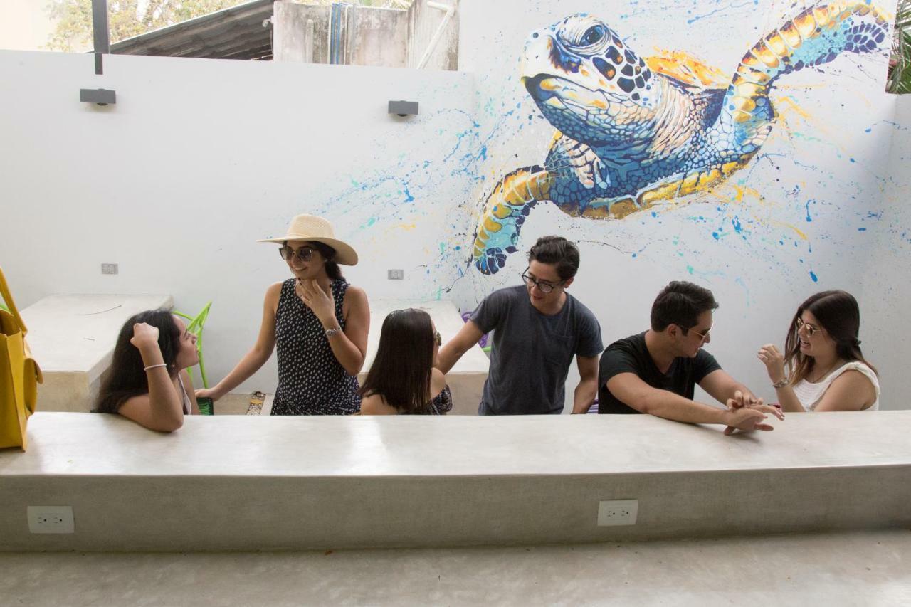 Hostel Frente Al Mar Tropico 20º 科苏梅尔 外观 照片